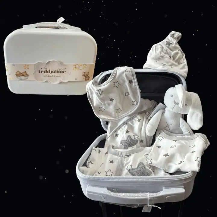 TEDDY TIME SUITCASE