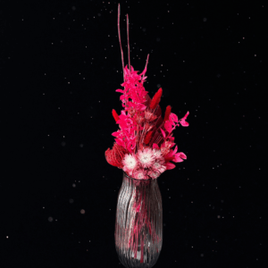 FLAMINGO AFTER DARK