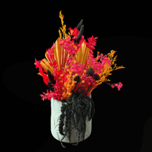 FIRECRACKER BLOOM