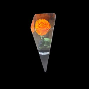Forever Rose - Ember