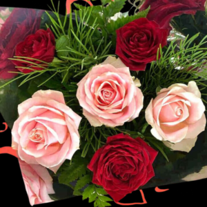 pink and red roses bouquet