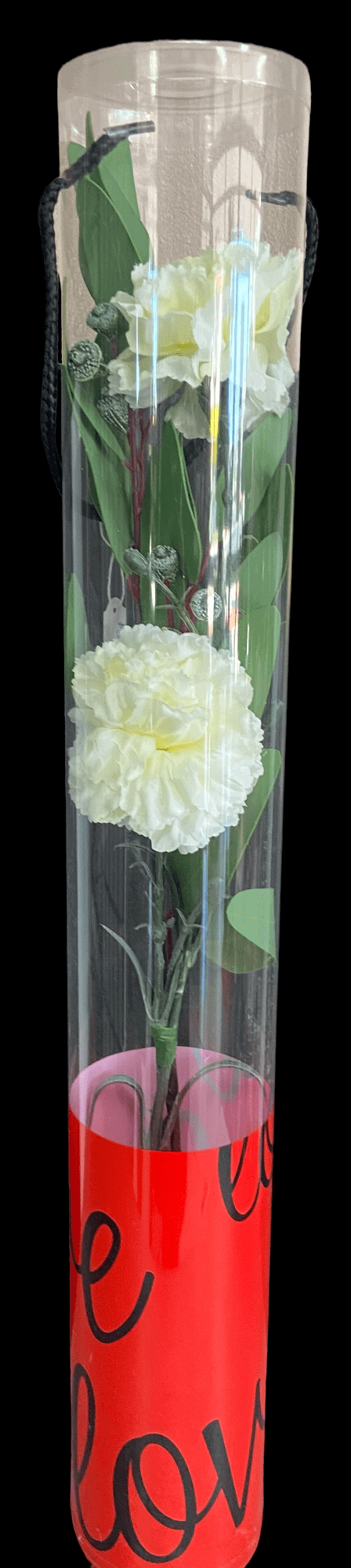 CARNATION