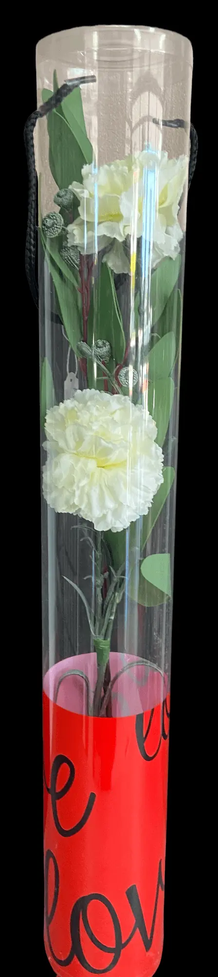 CARNATION
