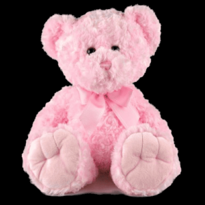PLUSH TEDDY