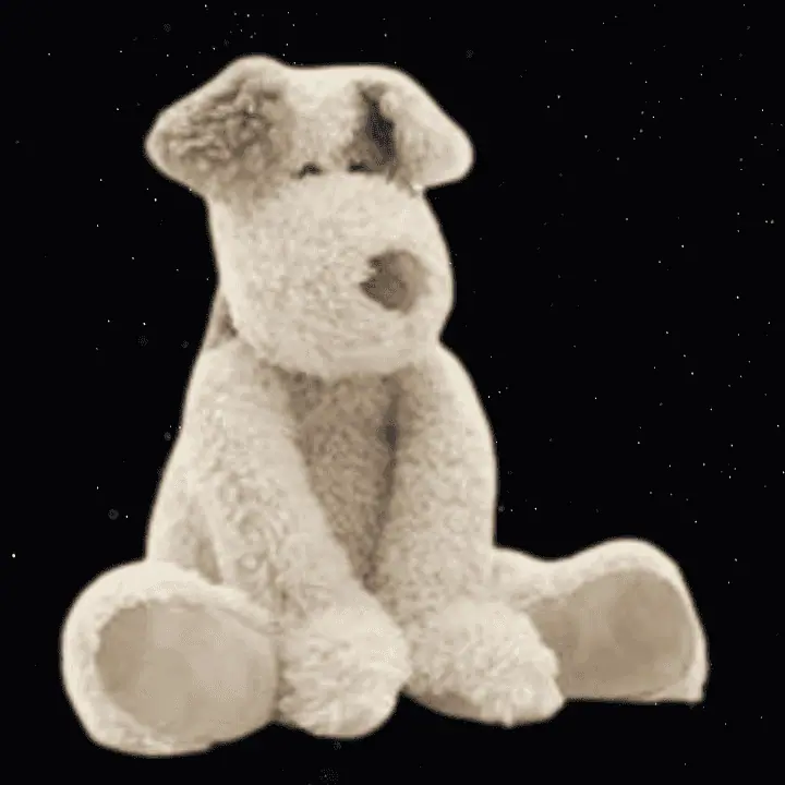 Buddy the Dog