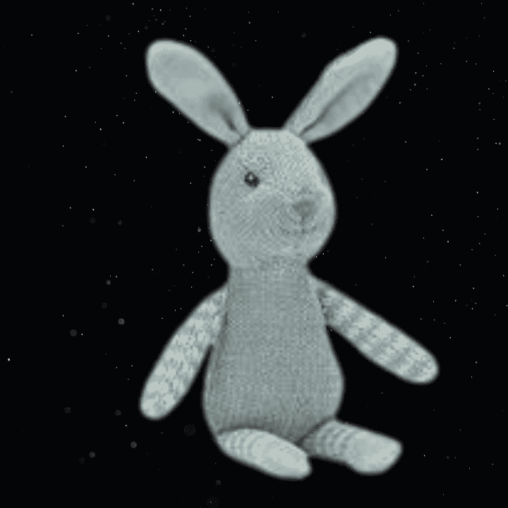 BOBBY THE BUNNY RATTLE