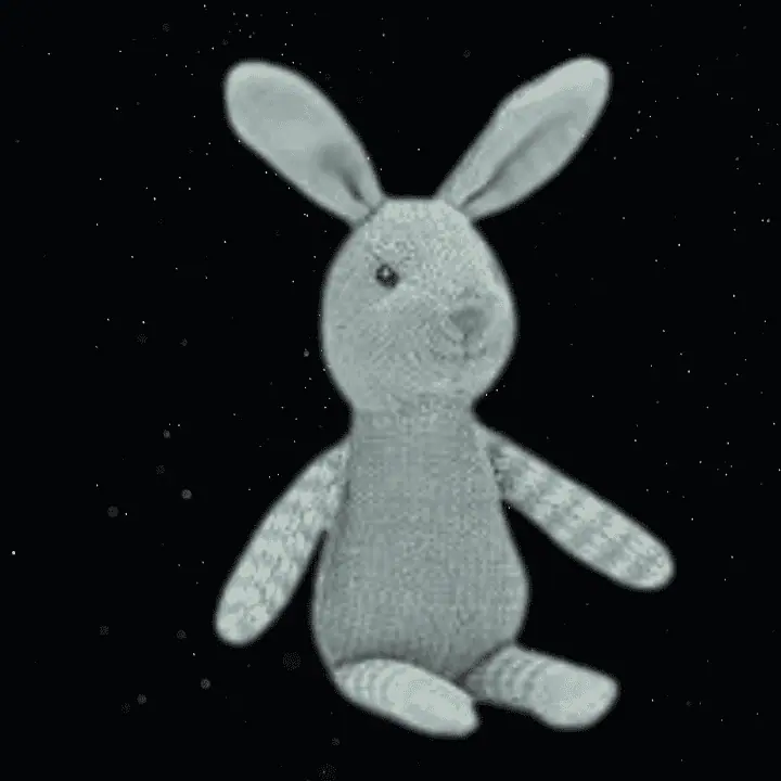 BOBBY THE BUNNY RATTLE