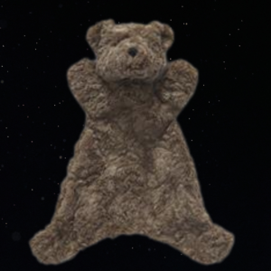 BENNY THE BEAR HOOCHY COOCHIE