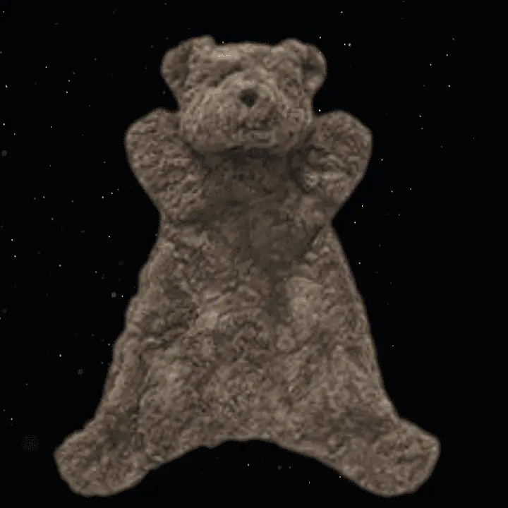 BENNY THE BEAR HOOCHY COOCHIE
