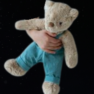 MR HONEY BEAR