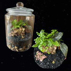 GROW YOUR OWN WAY