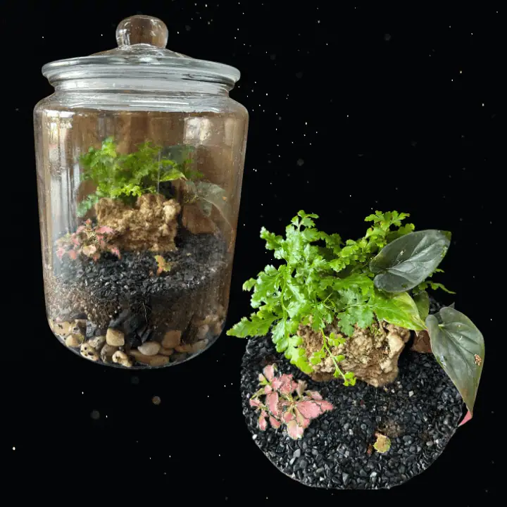 GROW YOUR OWN WAY