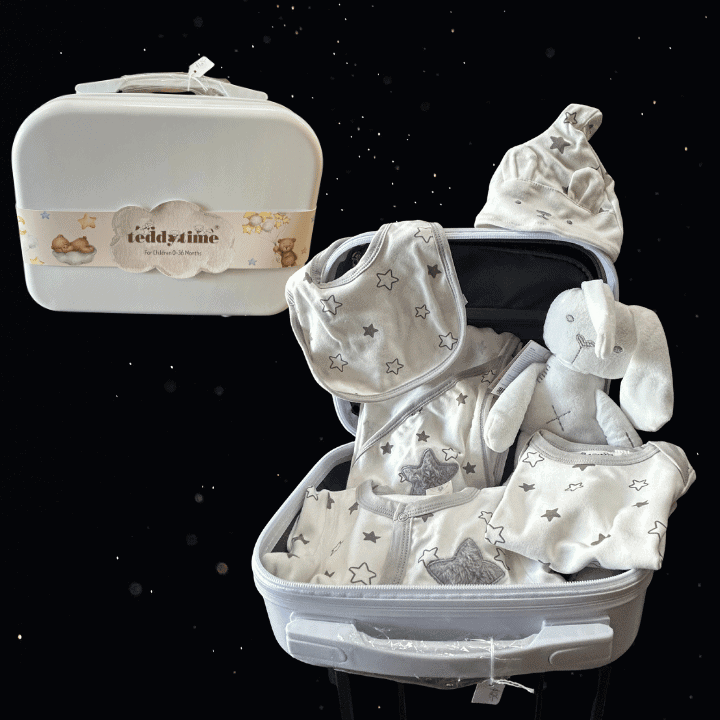 TEDDY TIME SUITCASE