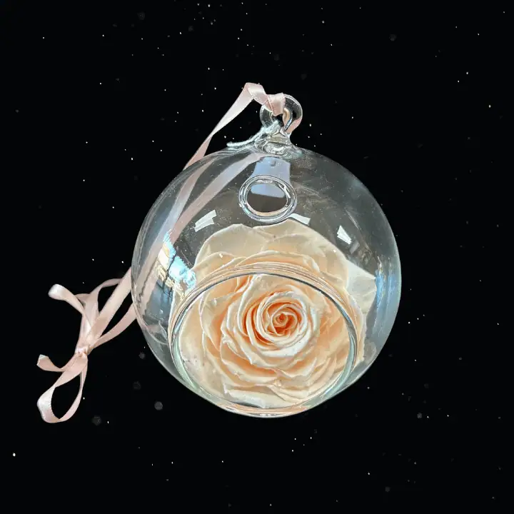 PEACH MOON