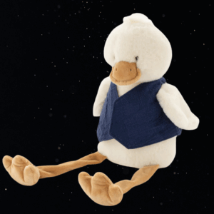 BIG BILL THE DUCK - NANA HUCHY