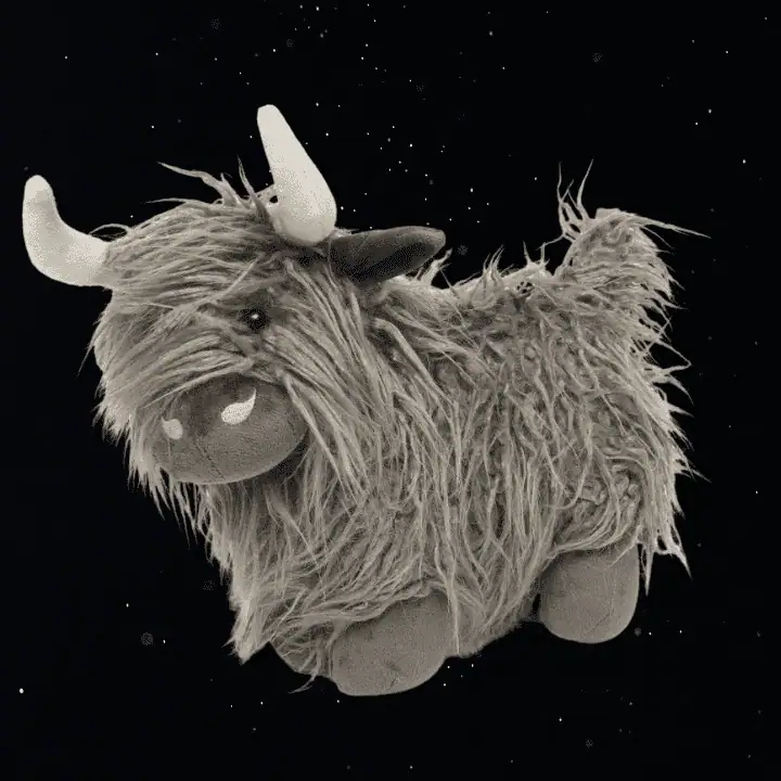 HEIDI THE HIGHLAND COW - NANA HUCHY