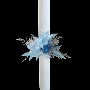Frozen Elegance