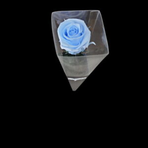 Forever Rose - Sky