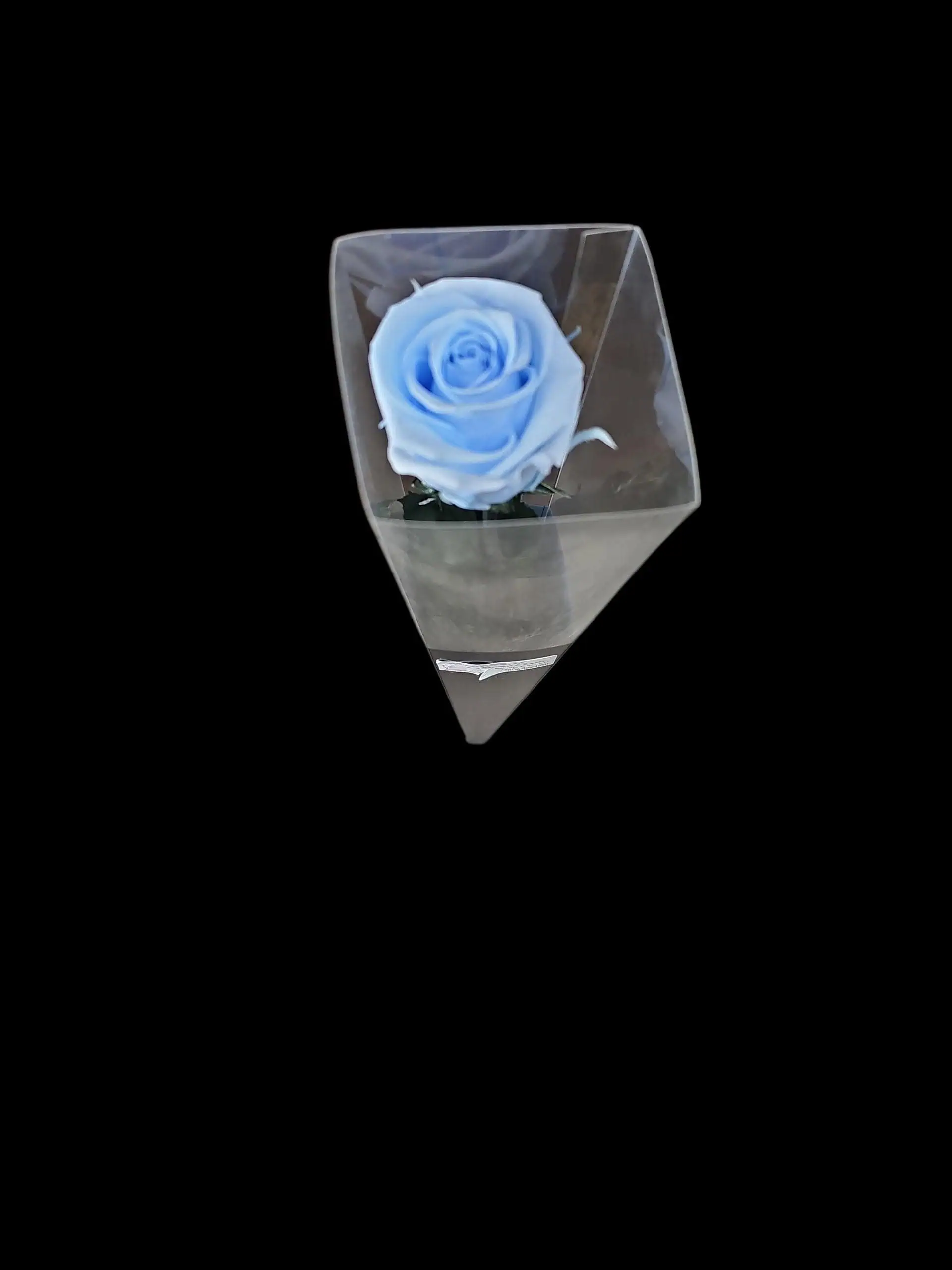 Forever Rose - Sky