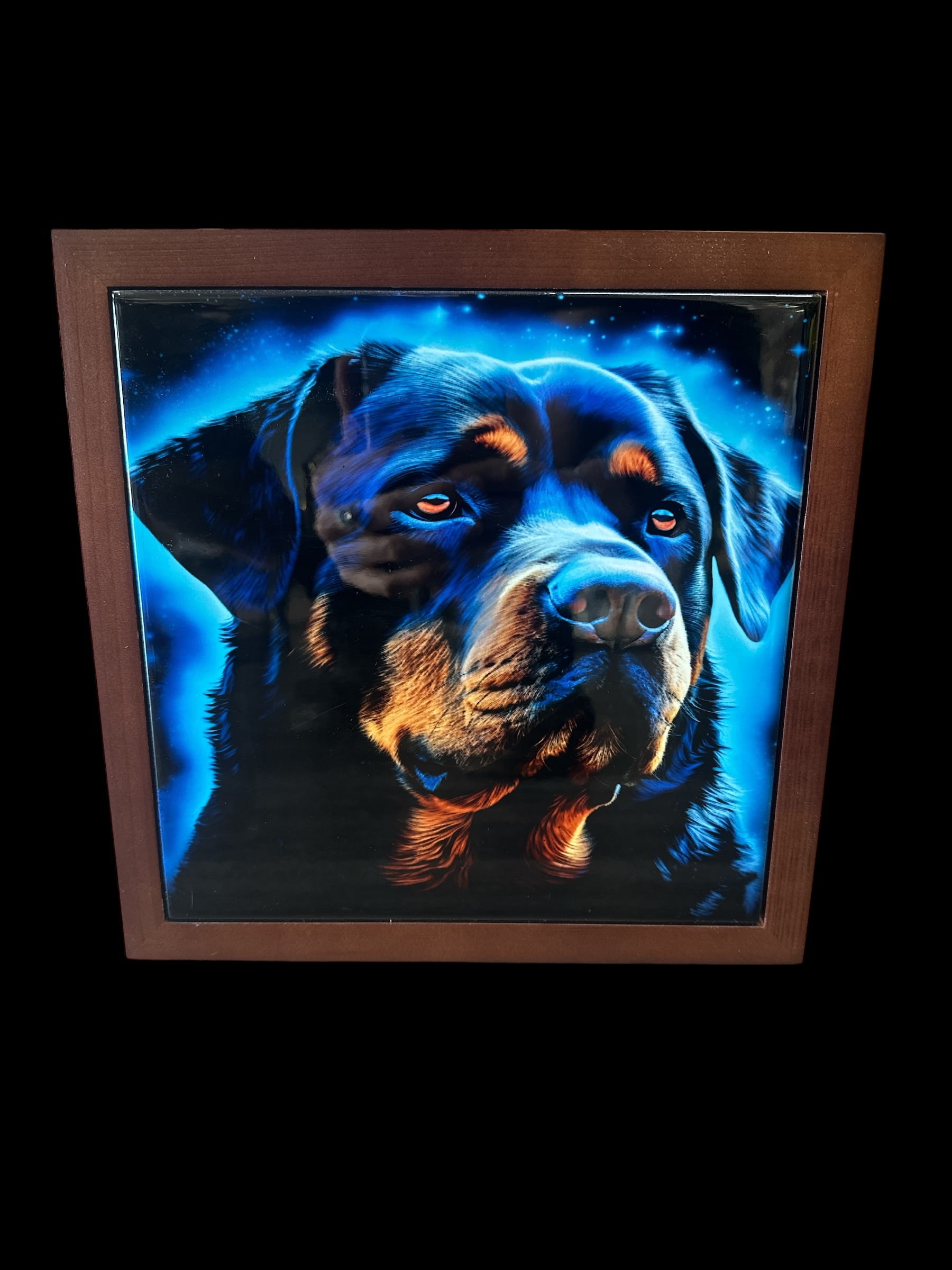 Blue Moon Rottie