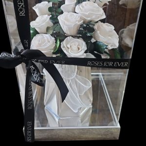 The Showcase - White