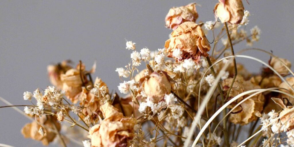 Dried Flower Arrangement