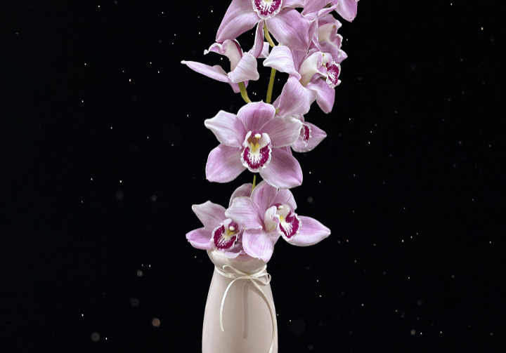 Untitled design (83)